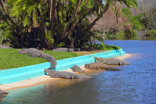 Amusement Park «Gatorland», reviews and photos, 14501 S Orange Blossom Trail, Orlando, FL 32837, USA