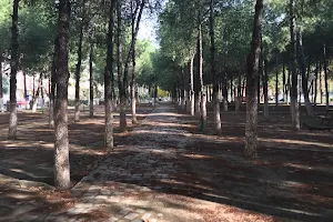Nazım Çulcu Parkı image