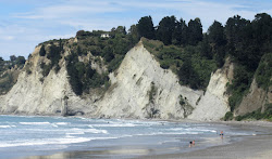 Gore Bay Beach'in fotoğrafı imkanlar alanı