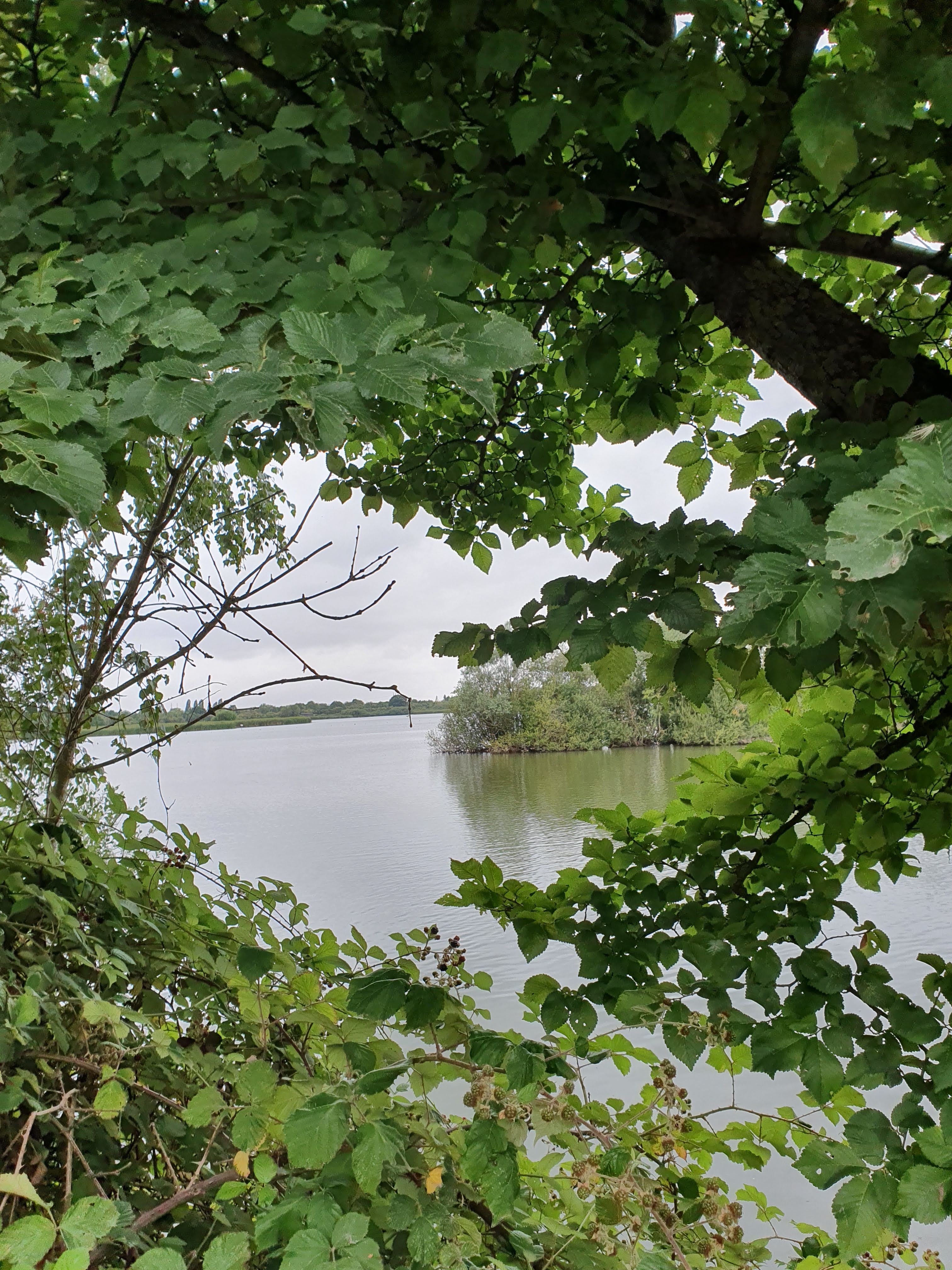Photo n° 25 de l'avis de Liliane.o fait le 17/08/2019 à 10:37