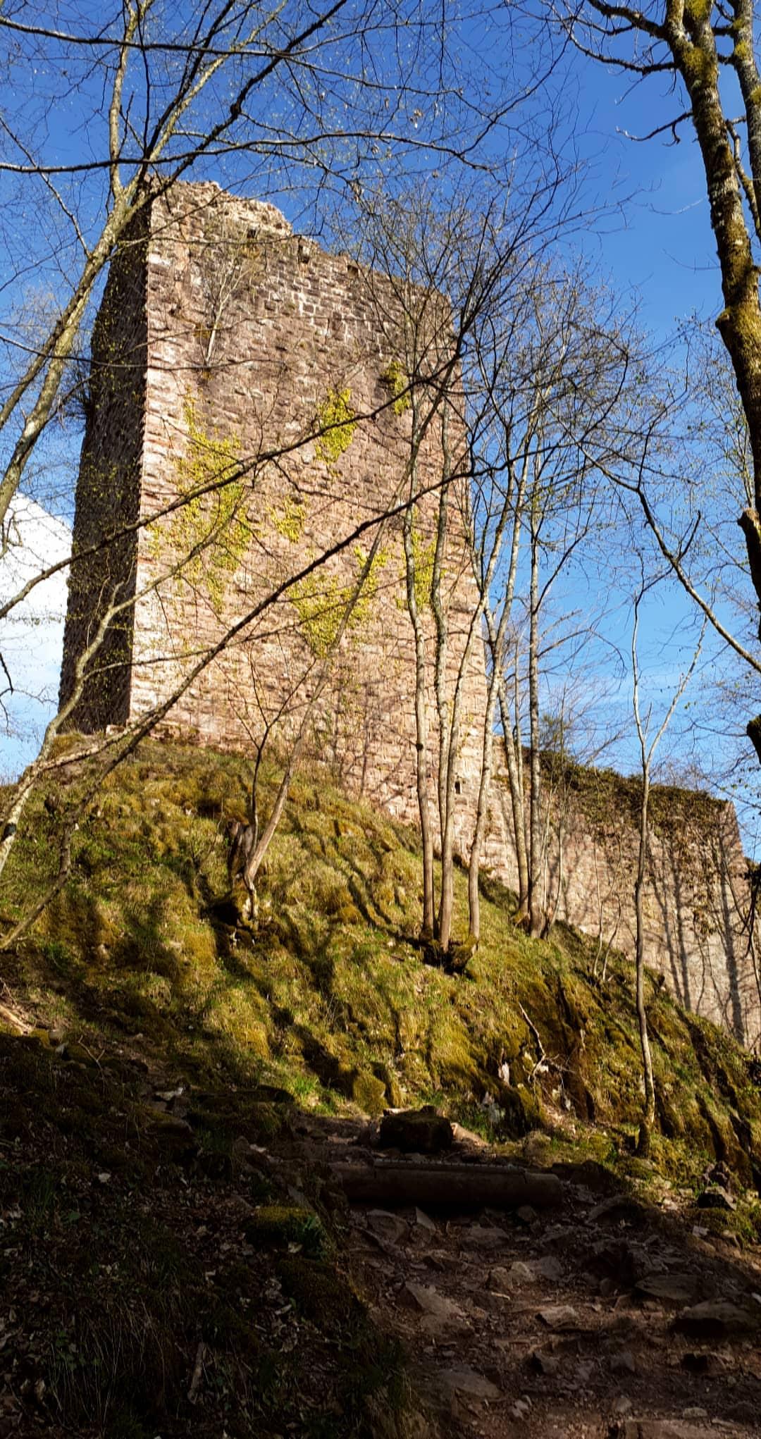 Photo n° 6 de l'avis de Maria.n fait le 01/04/2019 à 03:52