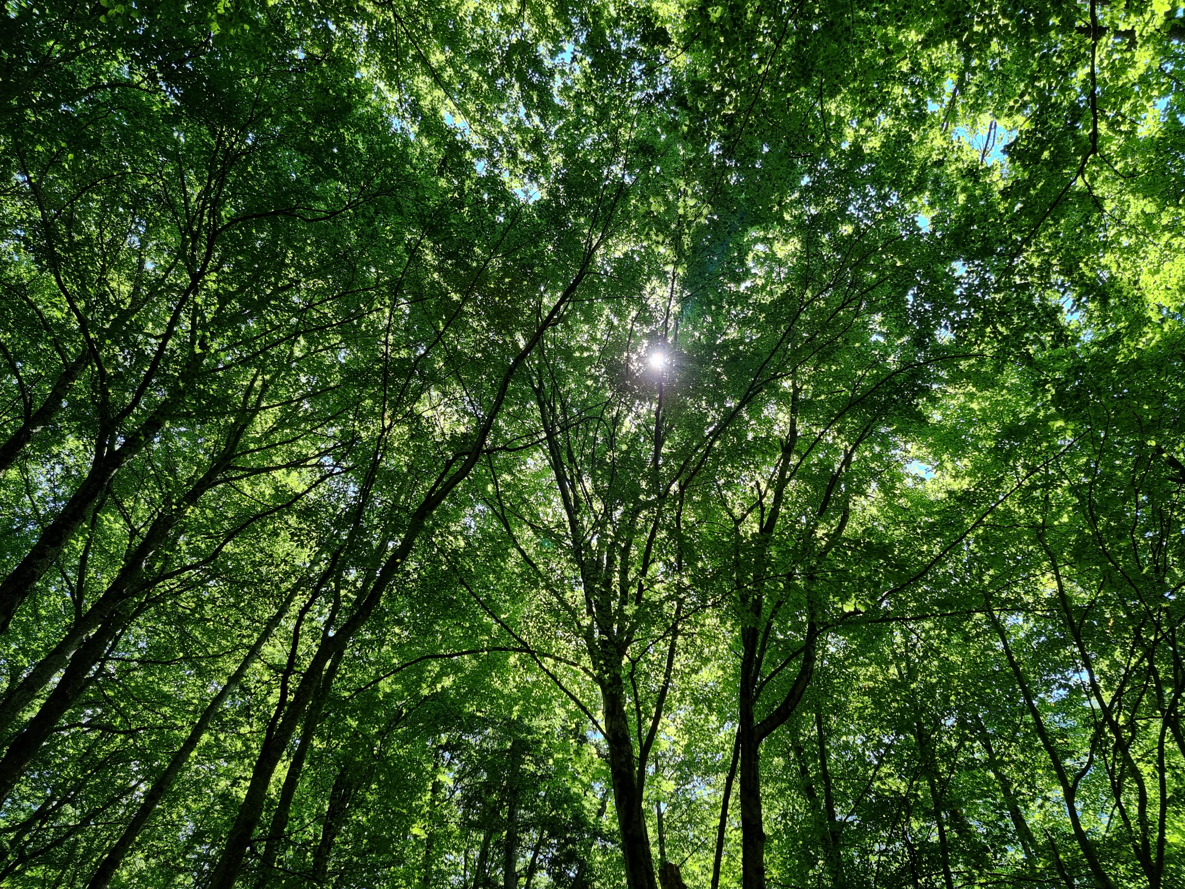 Photo n° 2 de l'avis de Clément.U fait le 27/07/2022 à 09:57