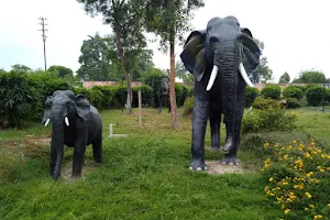 Galsi Eco Park image