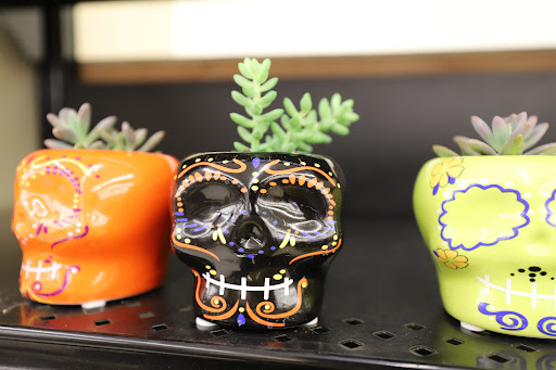 Grocery Store «Food Lion», reviews and photos, 411 W Lincoln St, Tullahoma, TN 37388, USA