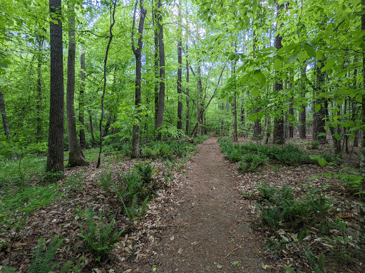 Mineral Springs Greenway (Trails)