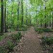 Mineral Springs Greenway (Trails)