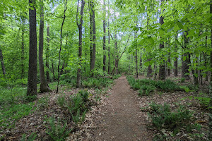Mineral Springs Greenway (Trails)
