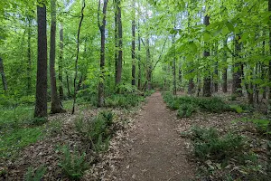 Mineral Springs Greenway (Trails) image