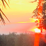 Photo n°1 de l'avis de Barbara.a fait le 28/08/2020 à 07:11 sur le  Osteria Magona à Bolgheri