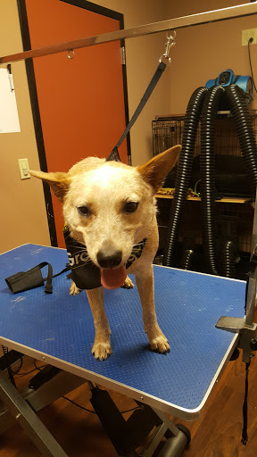 Pet Store «Pet Valu», reviews and photos, 2645 Shillington Rd, Sinking Spring, PA 19608, USA