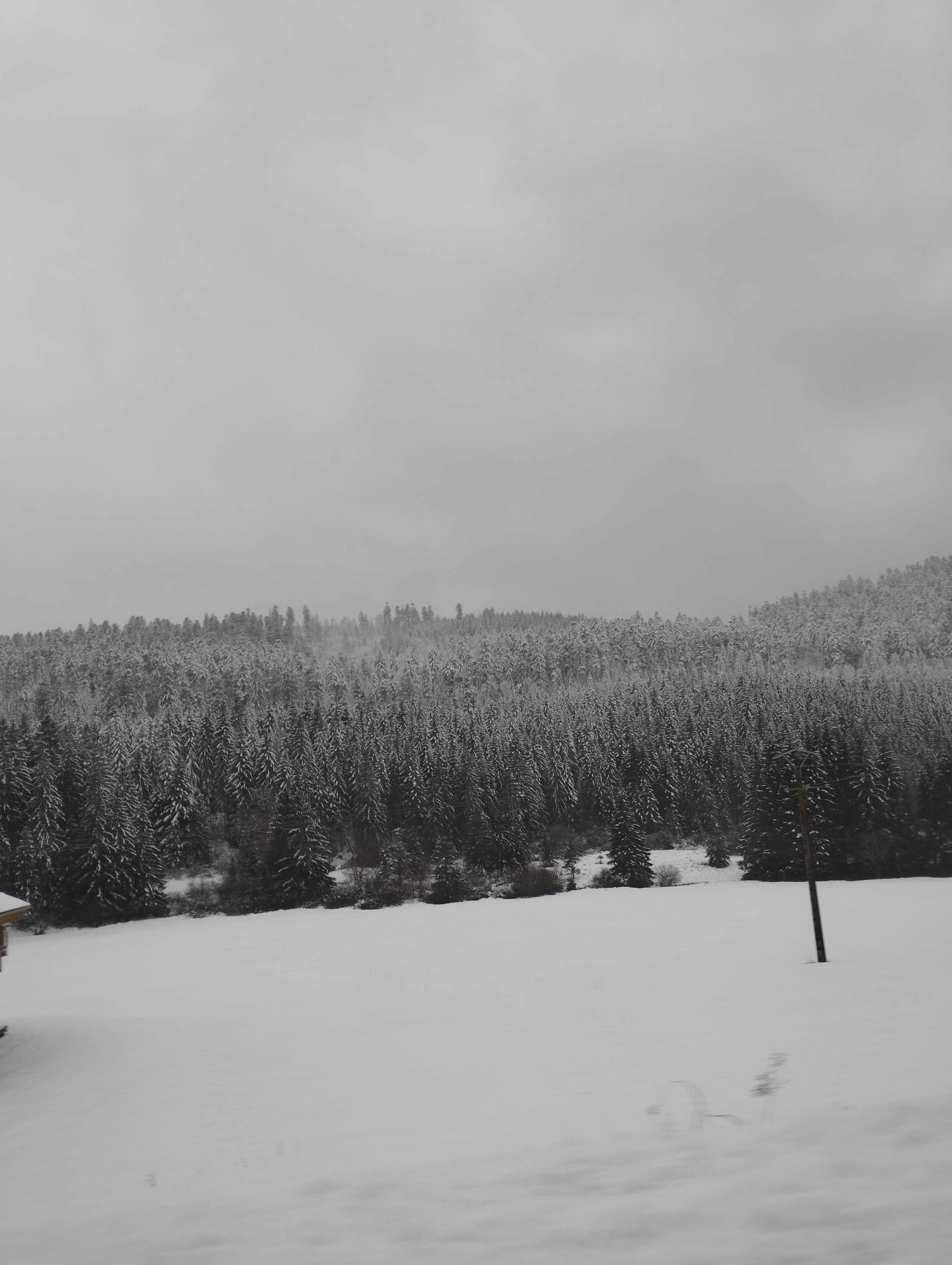 Photo n° 26 de l'avis de Géraldine.a fait le 08/12/2023 à 17:24