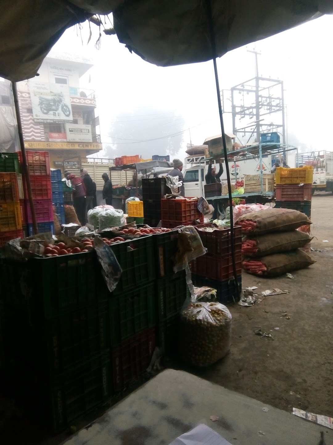 बालाजी फ्रूट कमपनी