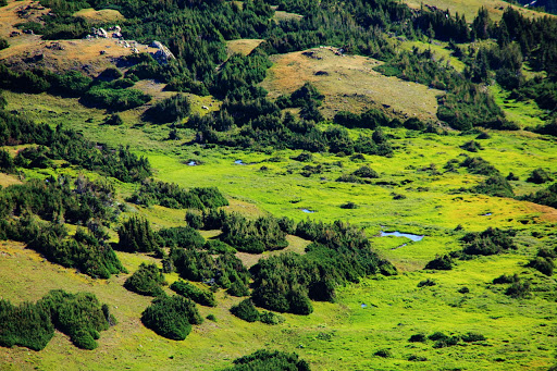 National Park «Rocky Mountain National Park», reviews and photos
