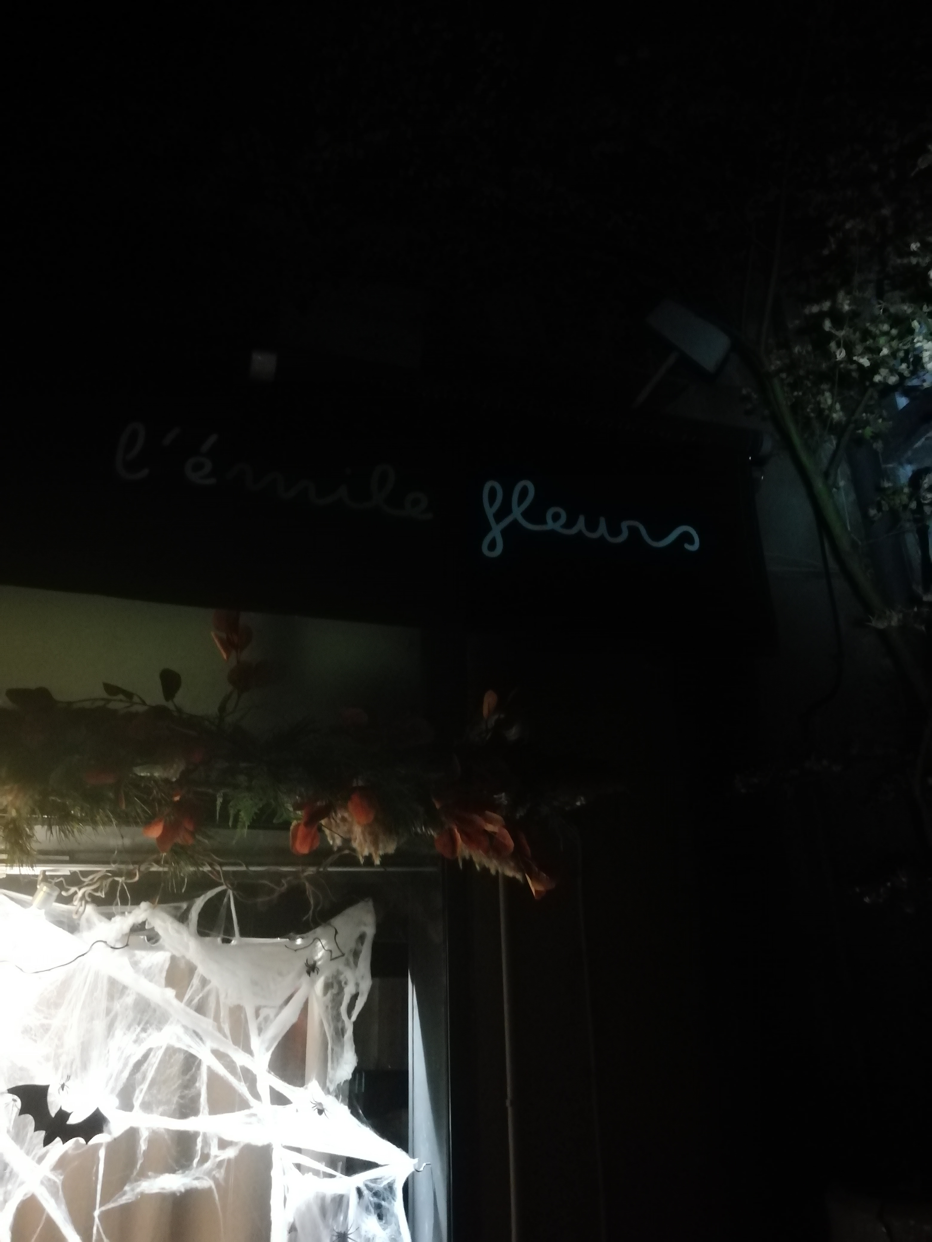 Photo n° 1 de l'avis de Céline.. fait le 25/10/2022 à 18:44