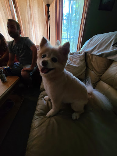 Pet Supply Store «Petco Animal Supplies», reviews and photos, 717 SE Geary St #101, Albany, OR 97321, USA