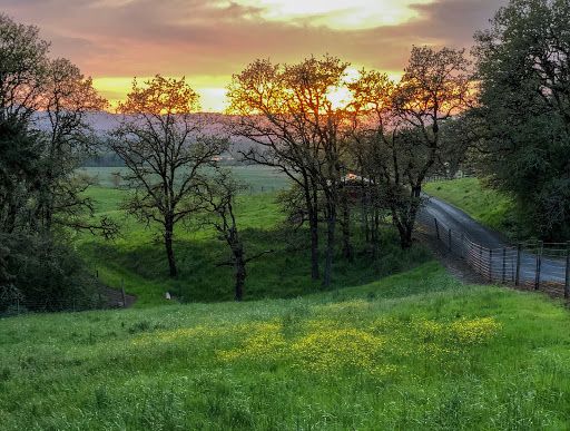 Real Estate Agency «The Salem Real Estate Group, Inc.», reviews and photos, 6444 Fairway Ave SE, Salem, OR 97306, USA