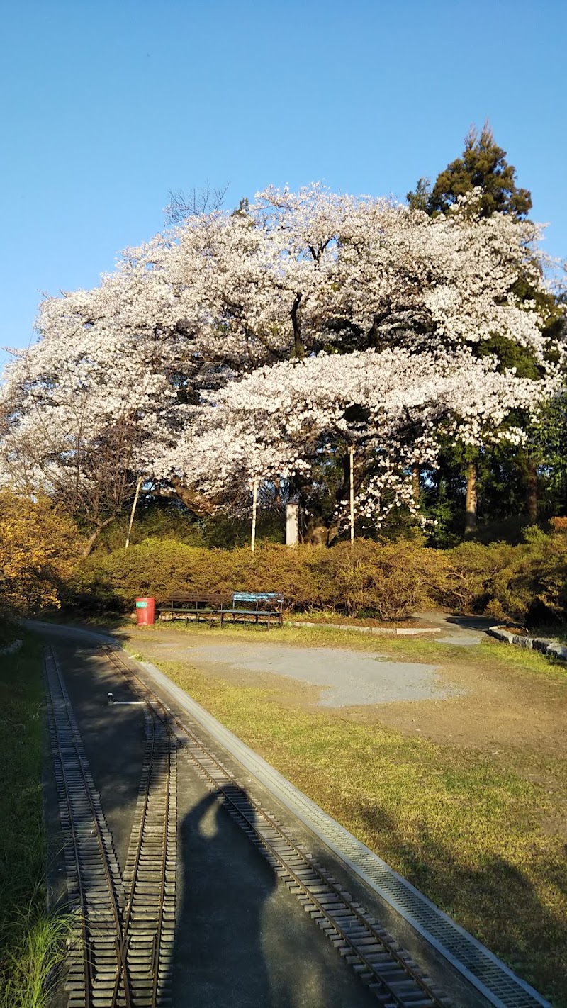 大星教会 東京都八王子市石川町 宗教法人 グルコミ