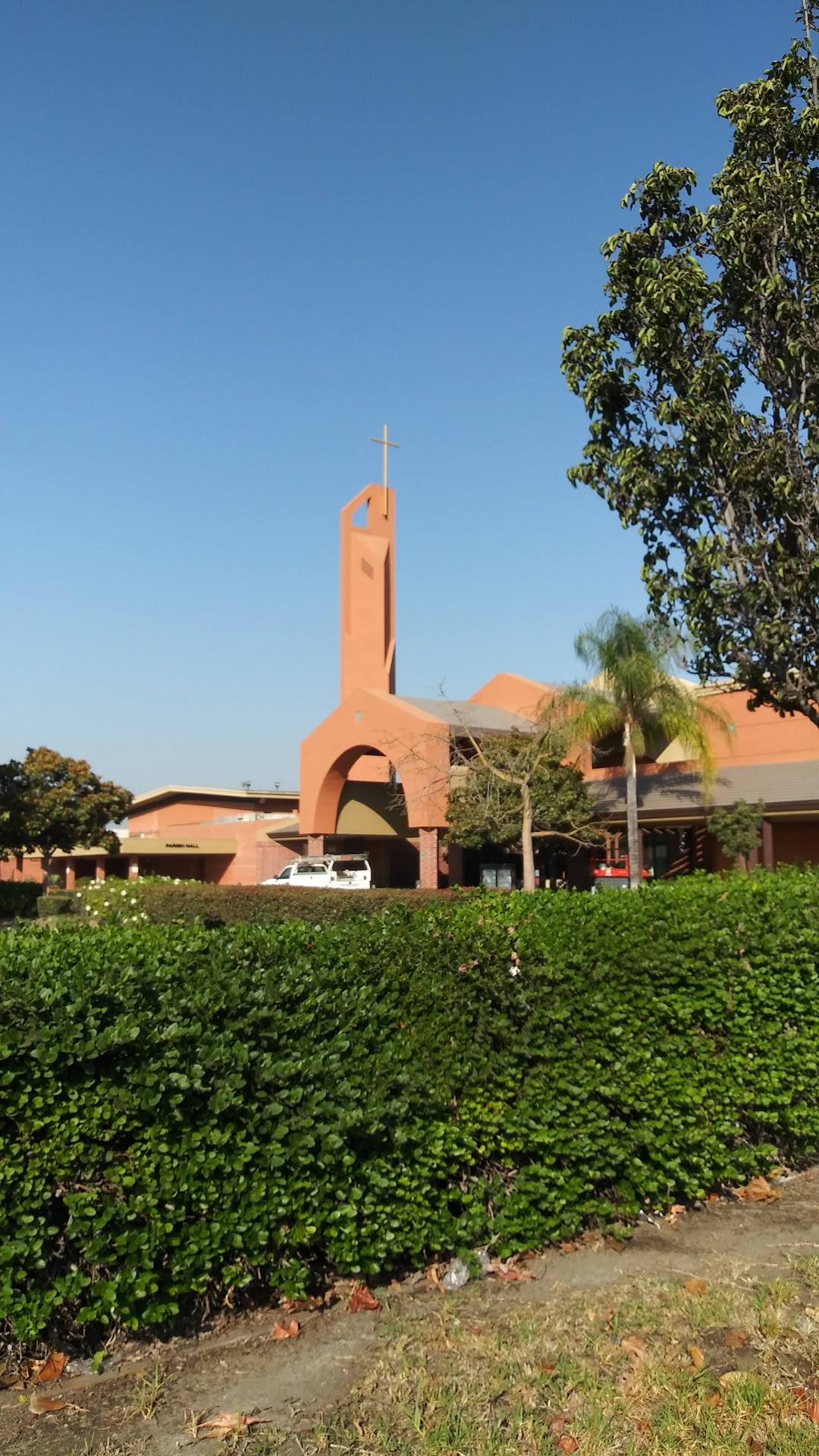 Saint Pius V Catholic School