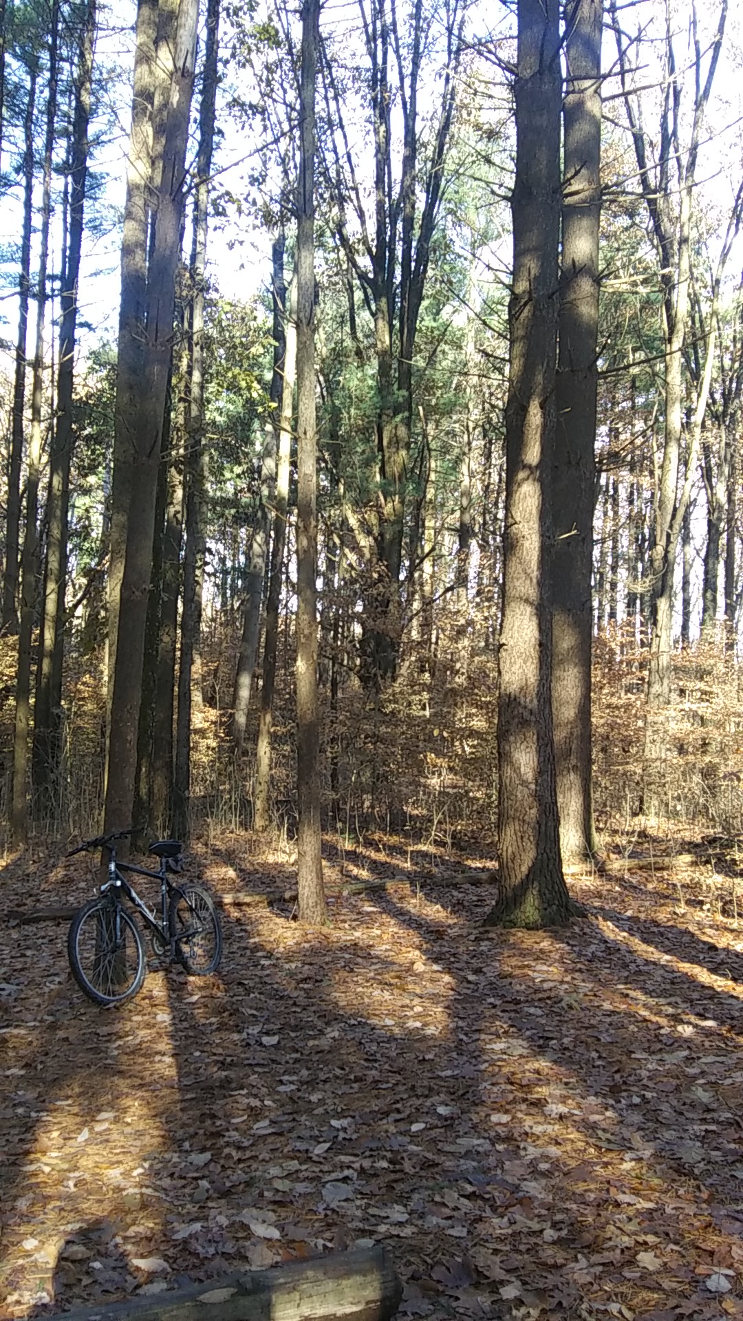 Axsom Branch Trail