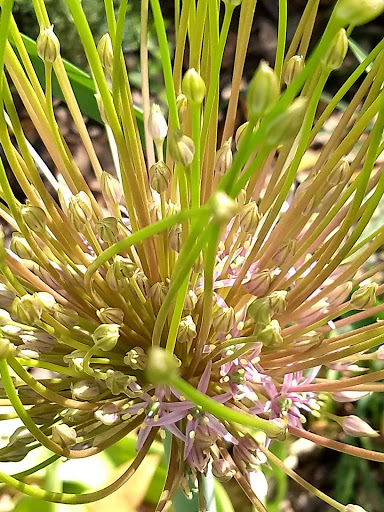 Art Gallery «Valley House Gallery Inc», reviews and photos, 6616 Spring Valley Rd, Dallas, TX 75254, USA