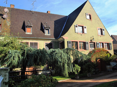 Domaine Dietrich Théo à Kaysersberg