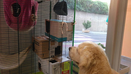 Centro Veterinario Cuarte en Cuarte de Huerva