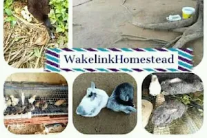 Wakelink Homestead image