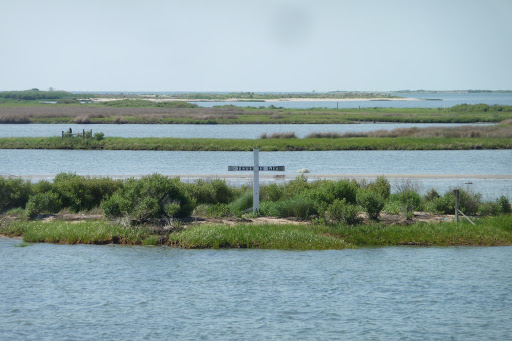 Cruise Agency «Tangier Island Cruises», reviews and photos, 1001 W Main St, Crisfield, MD 21817, USA
