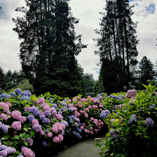 Funeral Home «Acacia Memorial Park & Funeral Home», reviews and photos, 14951 Bothell Way NE, Seattle, WA 98155, USA