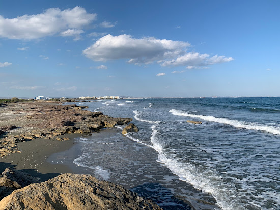 Kasianes Dog Beach