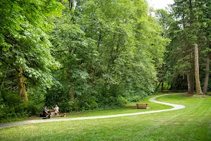 Tynehead Regional Park image