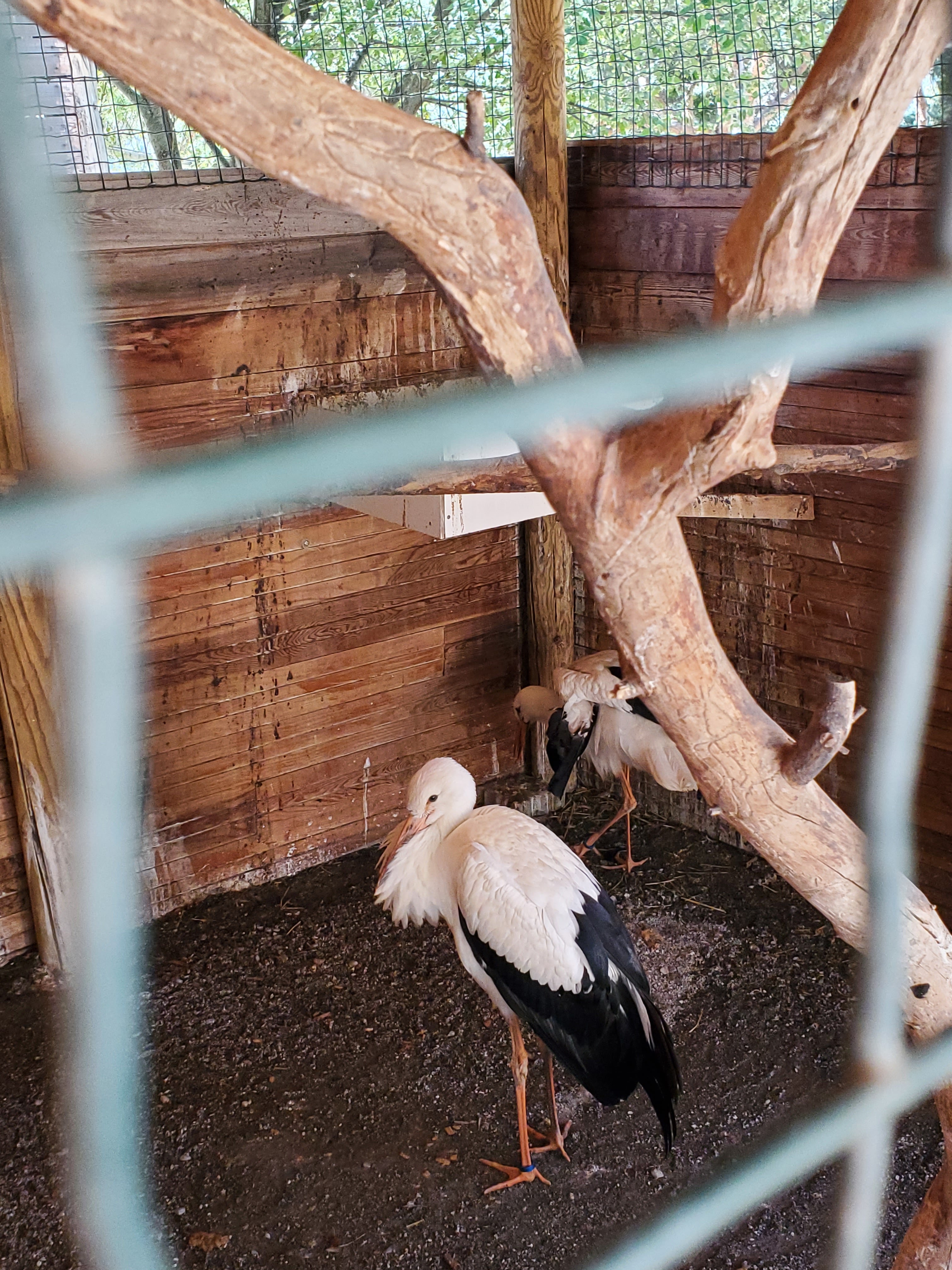 Photo n° 4 de l'avis de Lynda.e fait le 15/08/2023 à 10:47