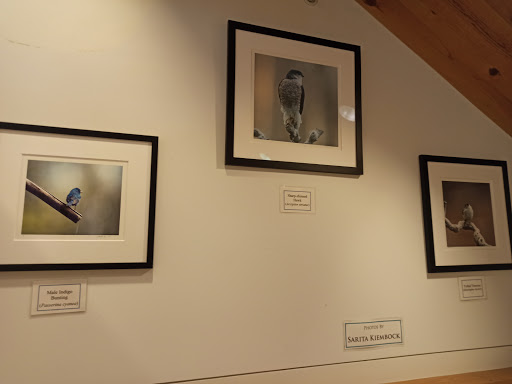 Natural History Museum «South Fork Natural History Museum & Nature Center», reviews and photos, 377 Bridgehampton-Sag Harbor Turnpike, Bridgehampton, NY 11932, USA