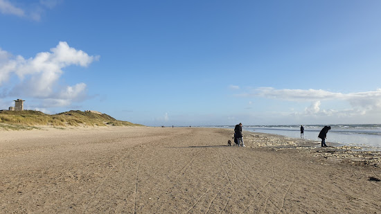 Blavandshuk Beach