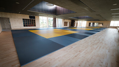 Behring Jiu-Jitsu Alsace à Wintzenheim