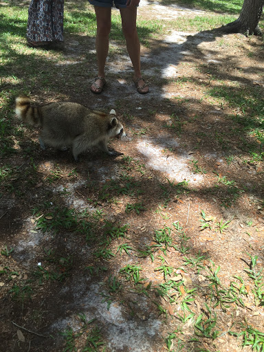 Winery «Florida Estates Winery», reviews and photos, 25241 FL-52, Land O Lakes, FL 34639, USA