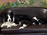 The Spaw - Photo 7 - Car repair in Tustin, CA, Mission Viejo