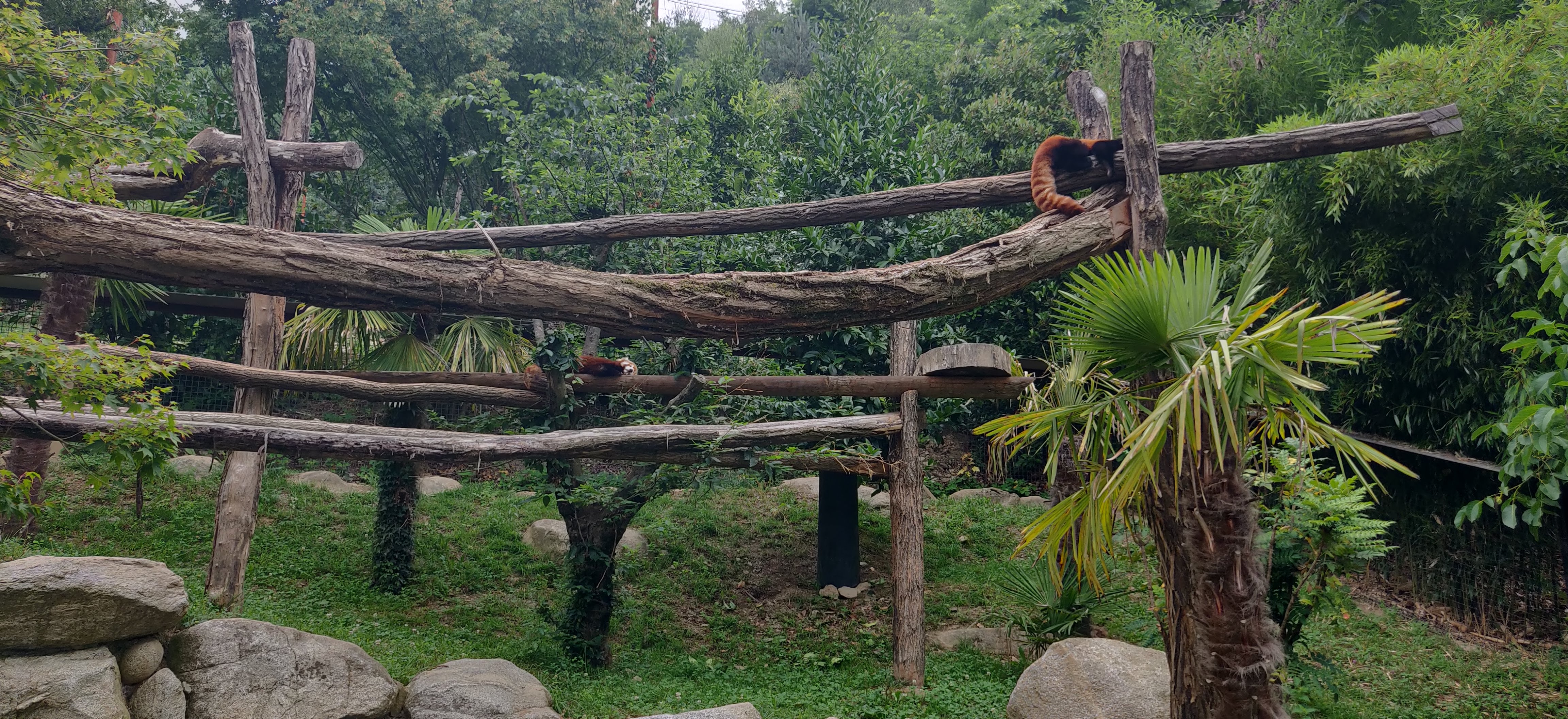 Photo n° 29 de l'avis de Frédéric.o fait le 15/11/2022 à 09:50