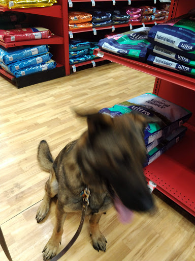 Pet Supply Store «Petco Animal Supplies», reviews and photos, 25 Hazard Ave, Enfield, CT 06082, USA