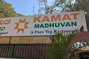 Kamat Madhuvan Veg Restaurant - Mysore image