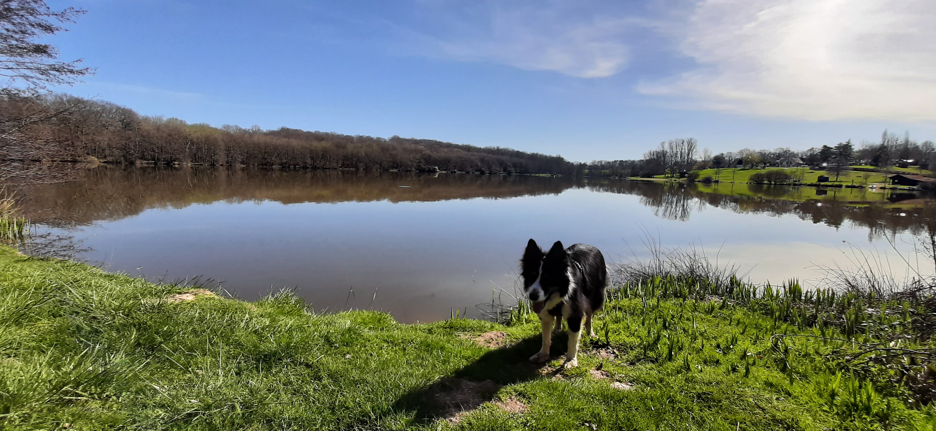 Photo n° 1 de l'avis de Sylvain.H fait le 28/03/2021 à 16:43