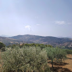 Photo n°1 de l'avis de Mario.o fait le 17/08/2020 à 21:04 sur le  Lamagia dei Sapori à Ventimiglia di Sicilia