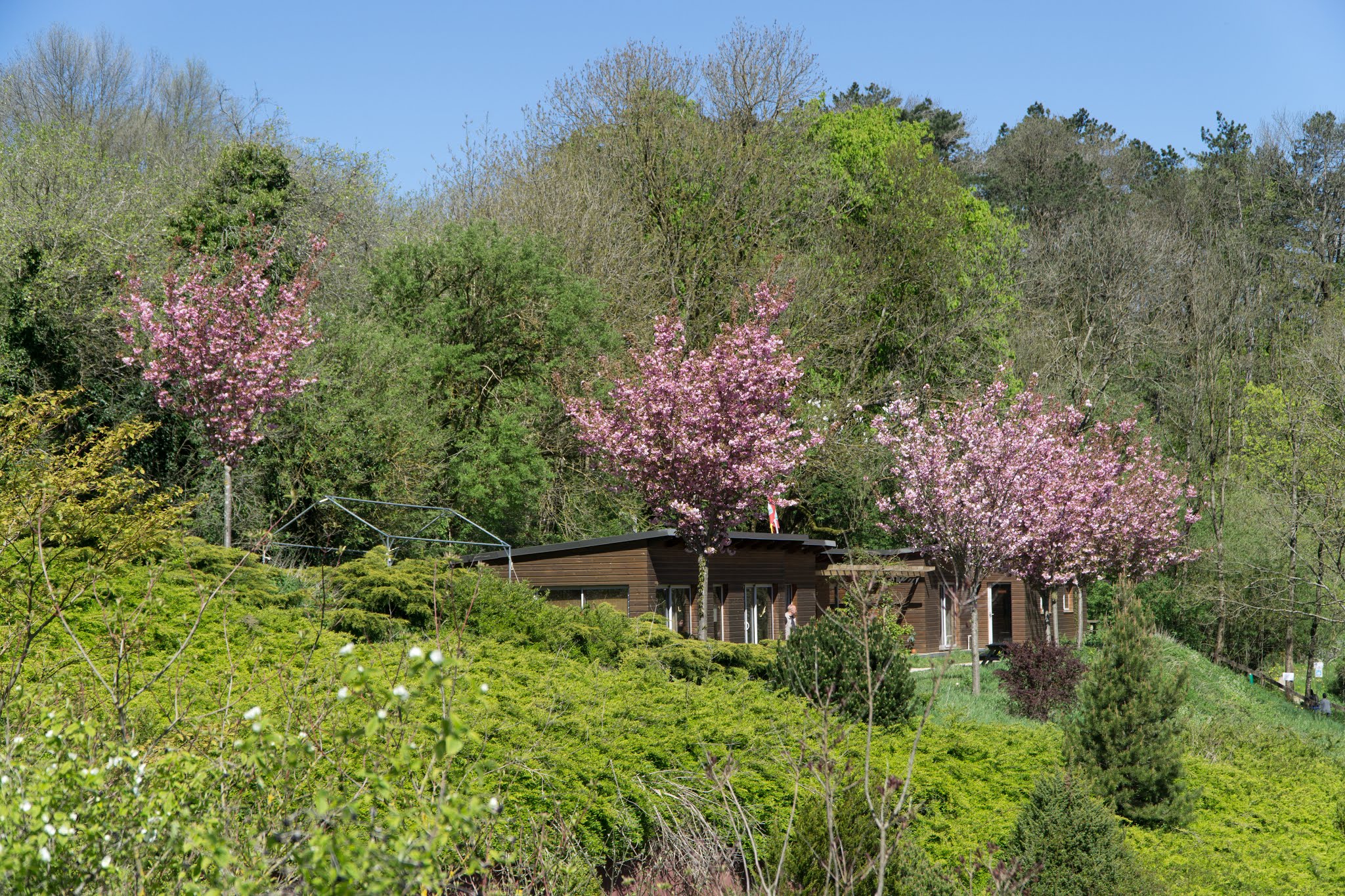 Photo n° 12 de l'avis de Adrien.O fait le 14/07/2018 à 16:10