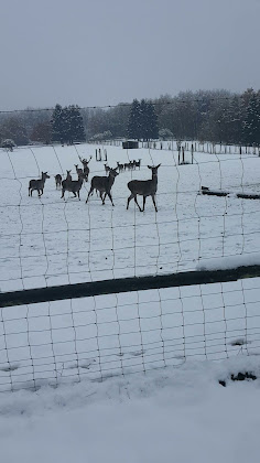 Vidéos hôtels Hotel Der Jägerhof 34439 Willebadessen