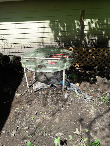 Park «Burlingame Park», reviews and photos, SW Falcon St & SW 12th Ave, Portland, OR 97219, USA