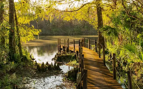 Fakahatchee Strand Preserve State Park image