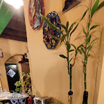 Photo n°5 de l'avis de Adnene.h fait le 04/12/2022 à 22:21 sur le  La Cucina di Fra' Pappina à Erba