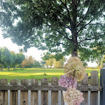 Photo n°5 de l'avis de Lady.o fait le 04/10/2023 à 19:53 sur le  Restaurant Fischerei Minholz à Bernau am Chiemsee