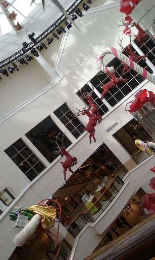 Movie Theater «AMC Aventura 24», reviews and photos, 19501 Biscayne Blvd #3001, Aventura, FL 33180, USA