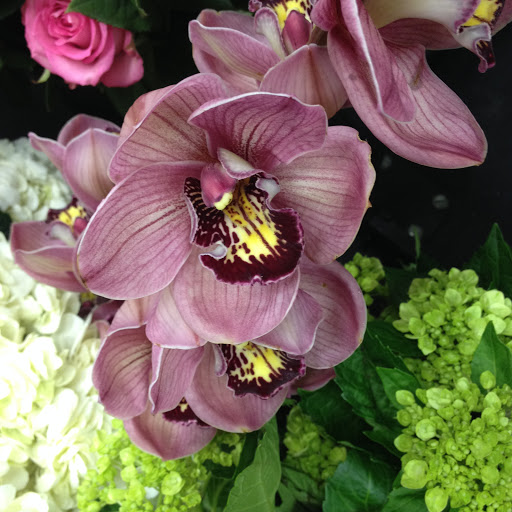 Florist «Woodlane Flowers», reviews and photos, 1536 Woodlane Dr, Woodbury, MN 55125, USA